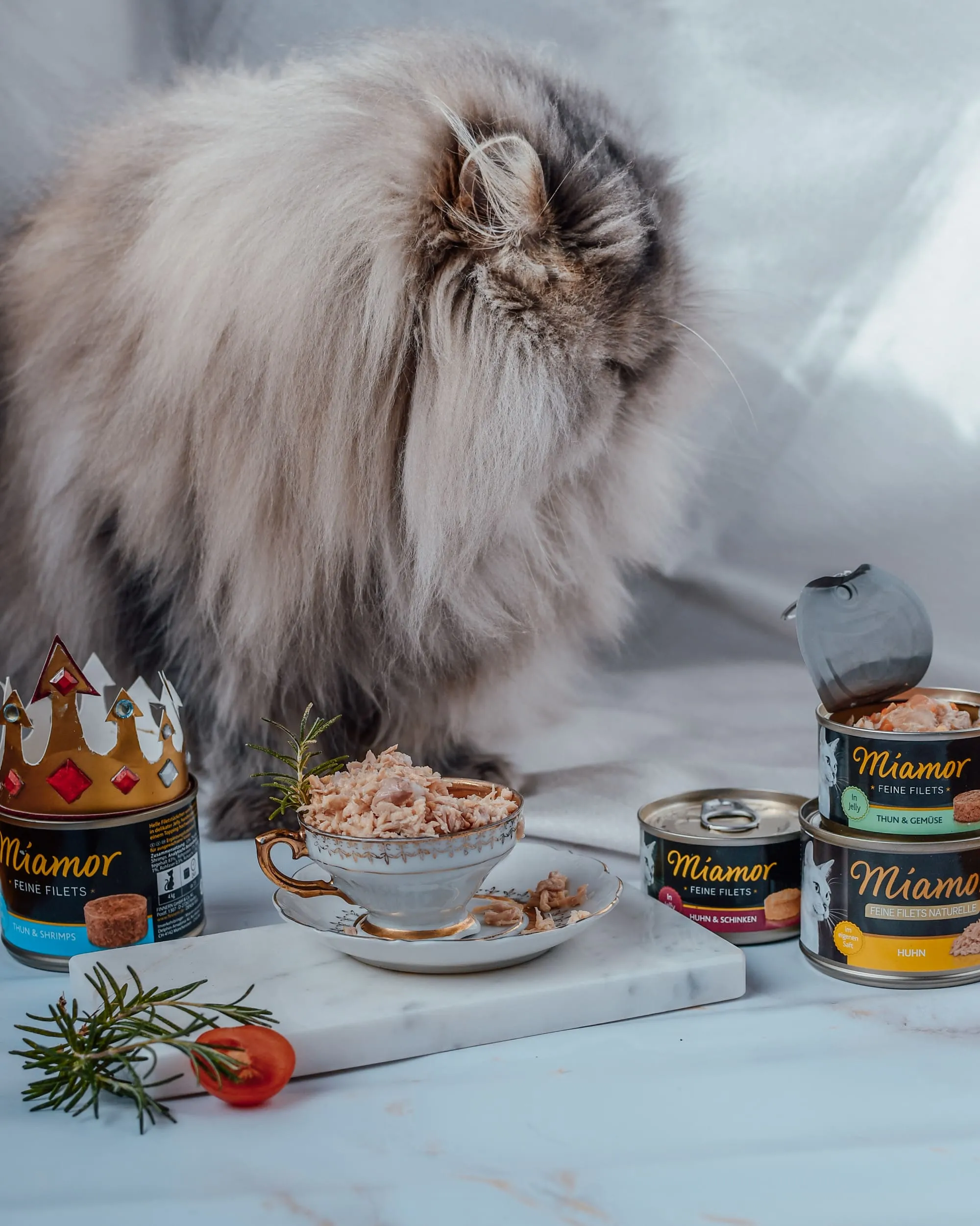Katze genießt eine rießige Menge Katzenfutter - Social Media Content Kampagne für Unternehmen