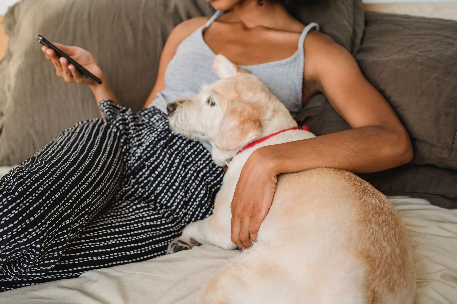 Beitragsbild: Petfluencer-Marketing – Guide für Heimtier-Marken im DACH-Raum