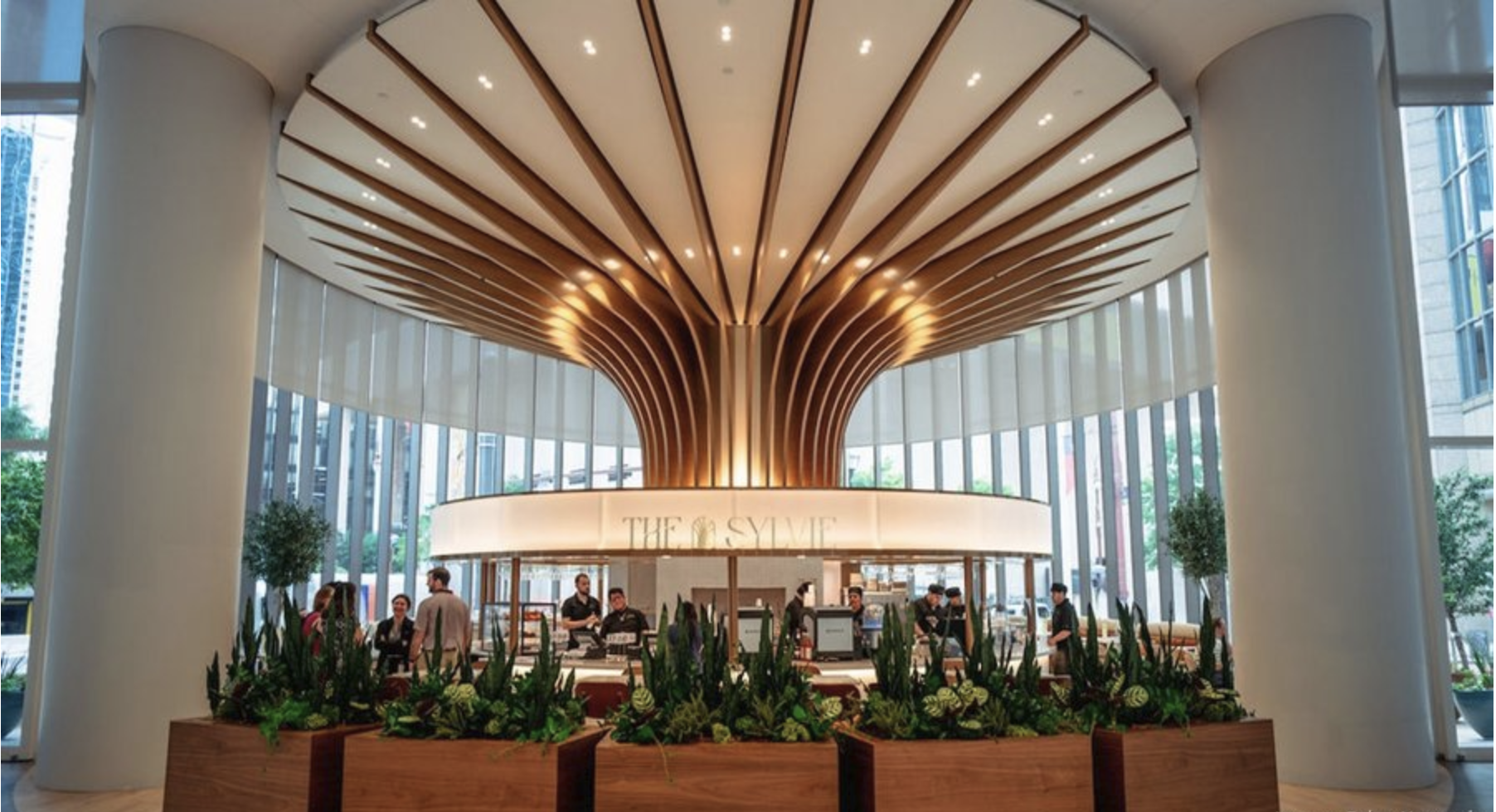 Curved wood ceiling canopy inspired by tree forms at The Sylvie, Downtown Houston.