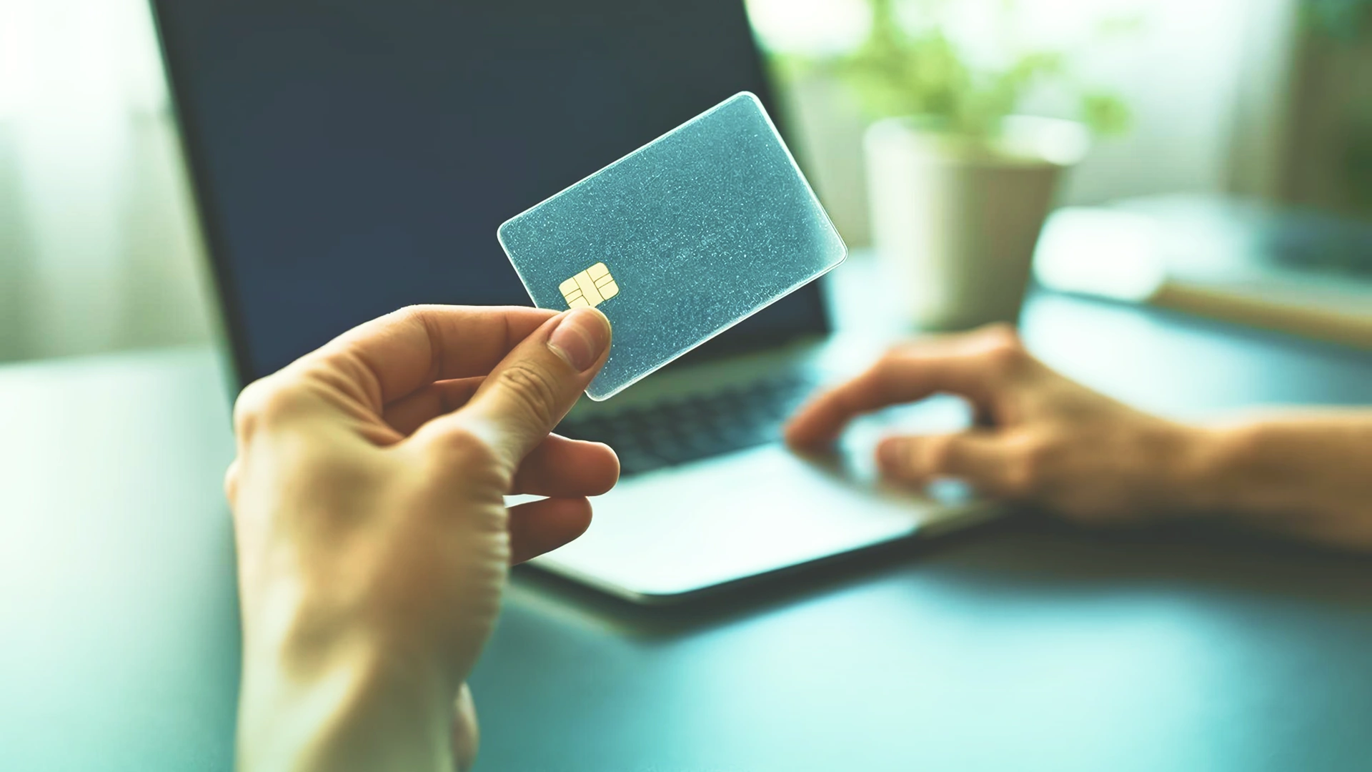 Credit Card Approval Prediction image 