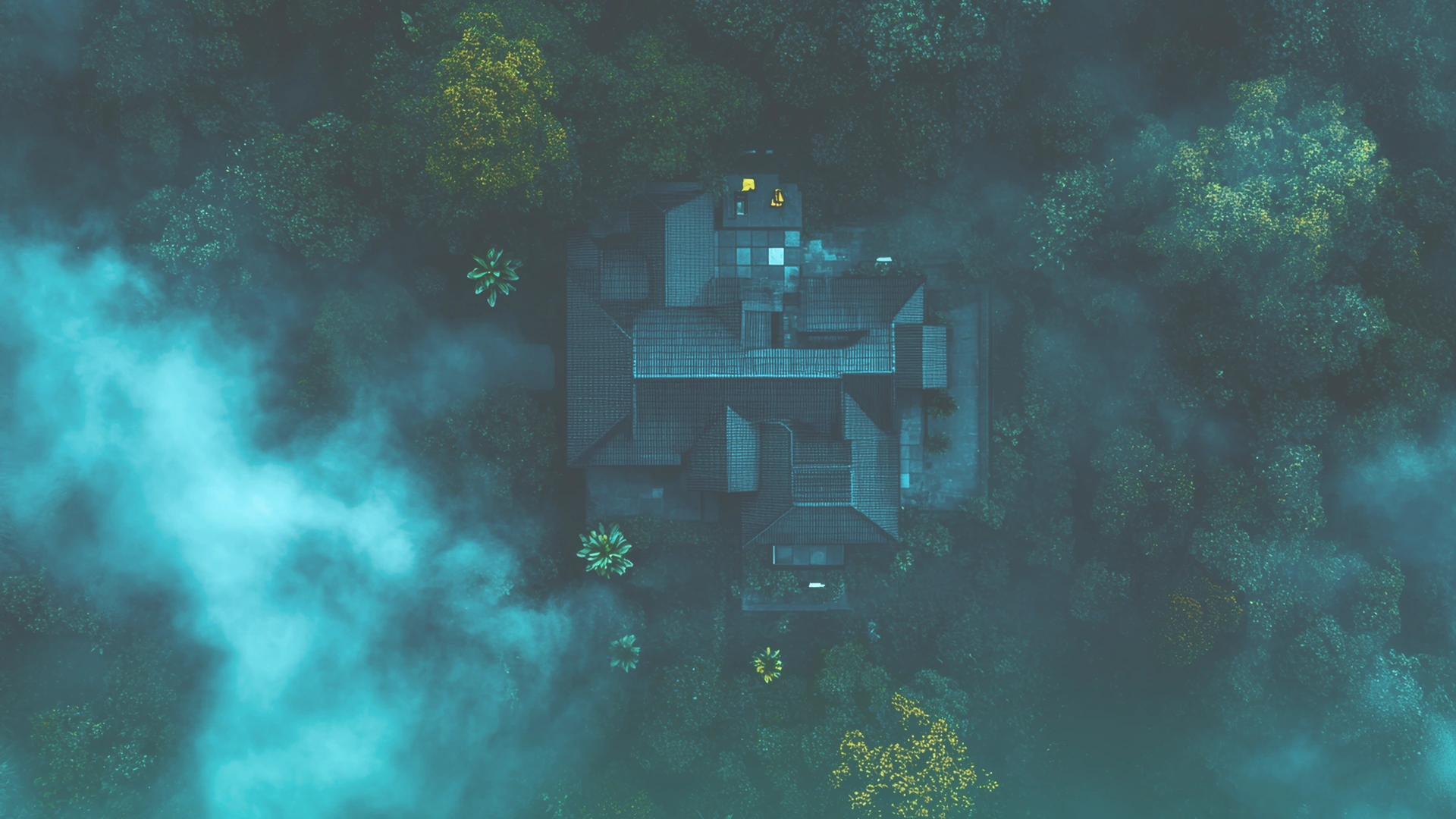 Forest with fire-detection sensors concept Image 