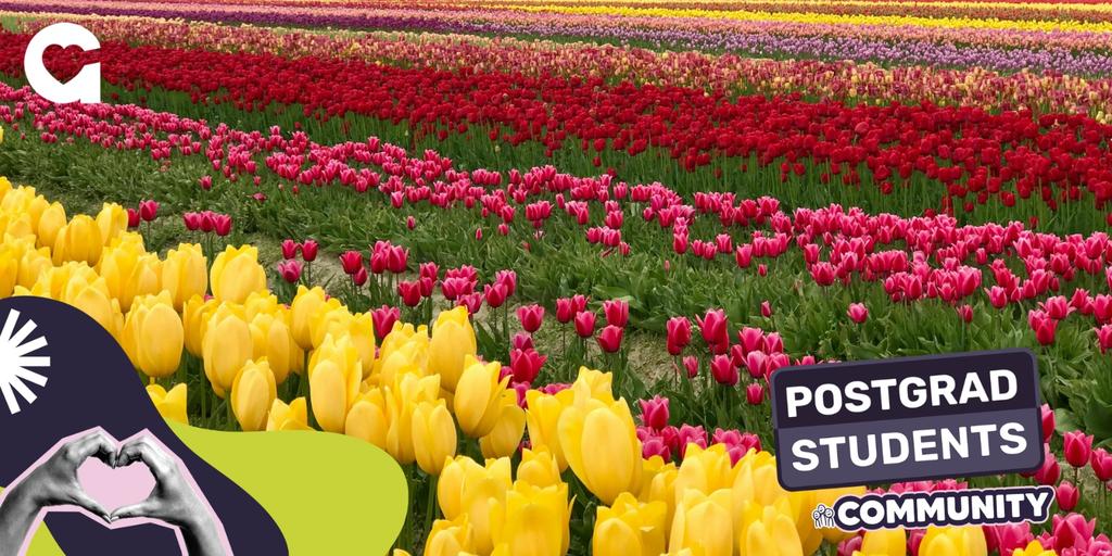 Postgrad Trip to Darts Farm Tulip Fest