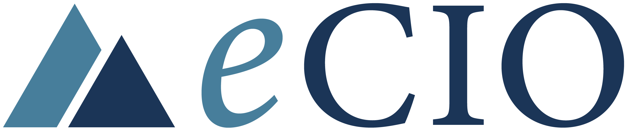 eCIO