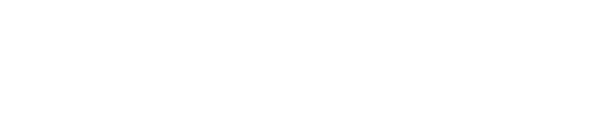 eCIO