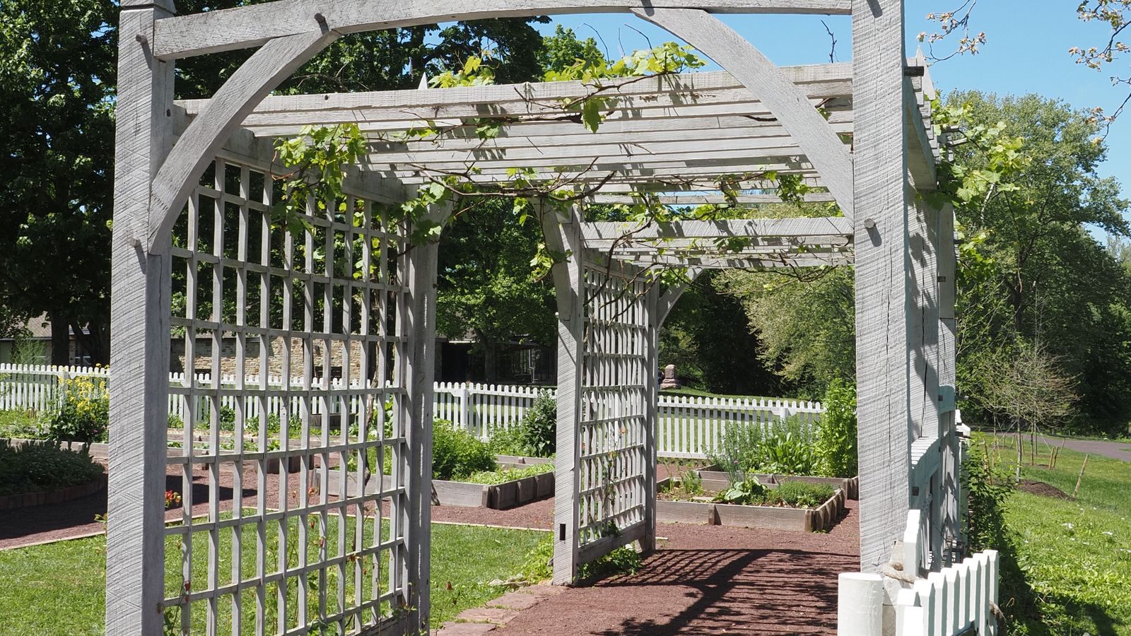Pergola en bois installée dans un jardin arboré sous un ciel bleu