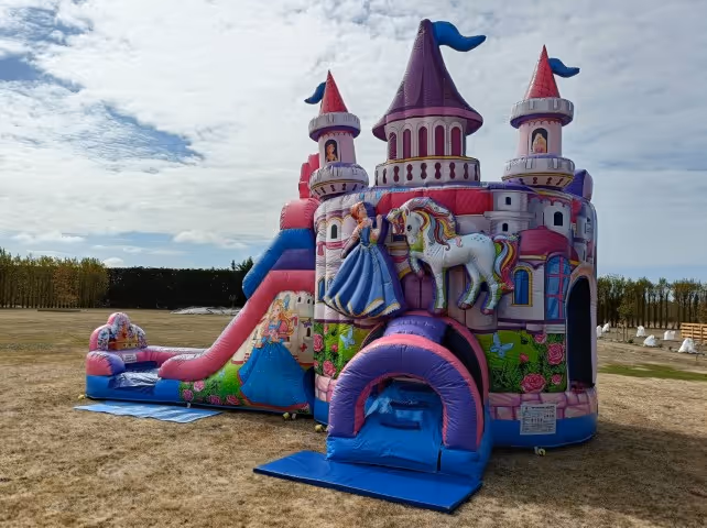 Princess Bouncy Castle from an angle