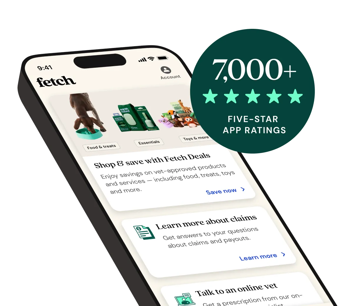 7,000+ five-star app ratings for Fetch Pet Insurance