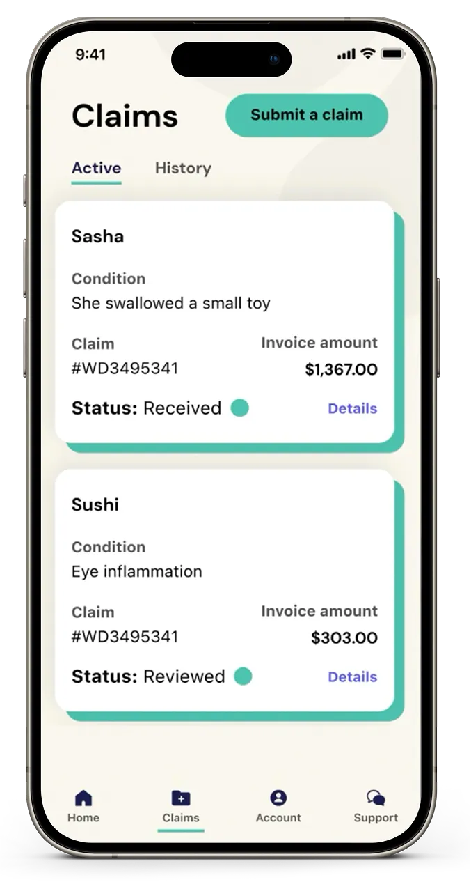 A phone with the Fetch app claims screen displayed.