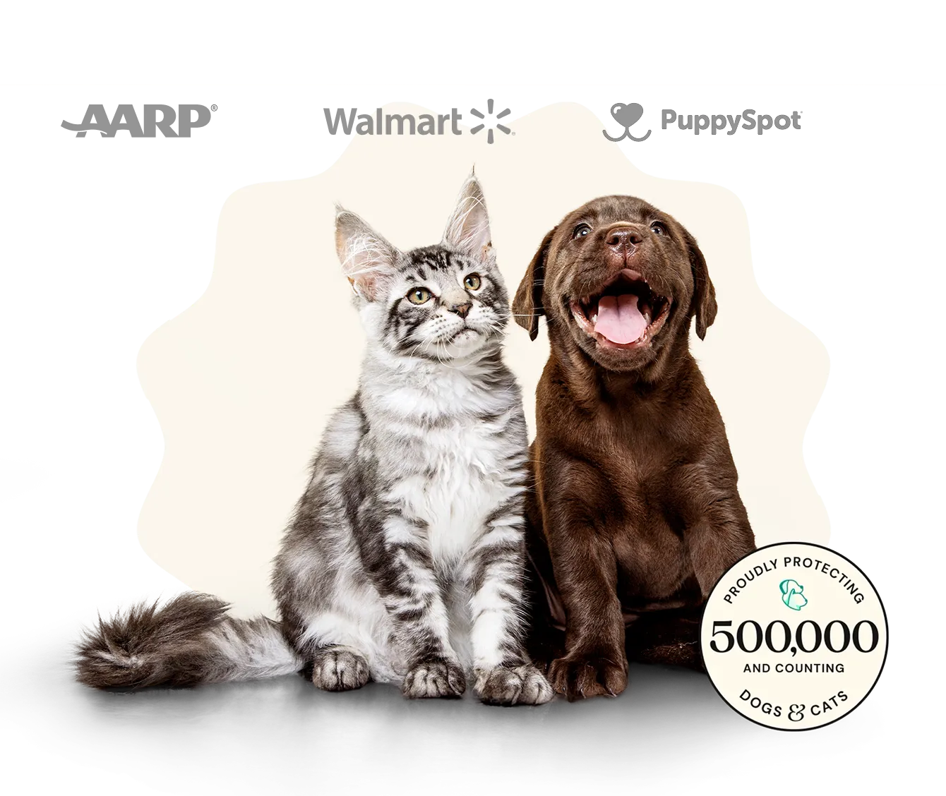 A cute cat and a puppy with AARP, Walmart and PuppySpot logos. 