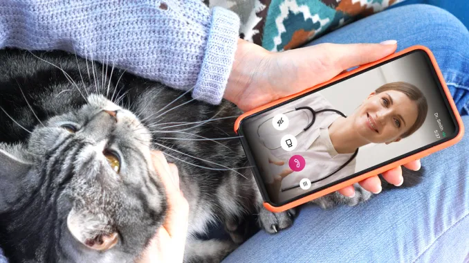 A person holding their cat and video calling with a vet.
