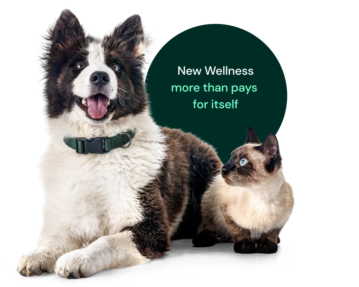 New Wellness more than pays for itself.