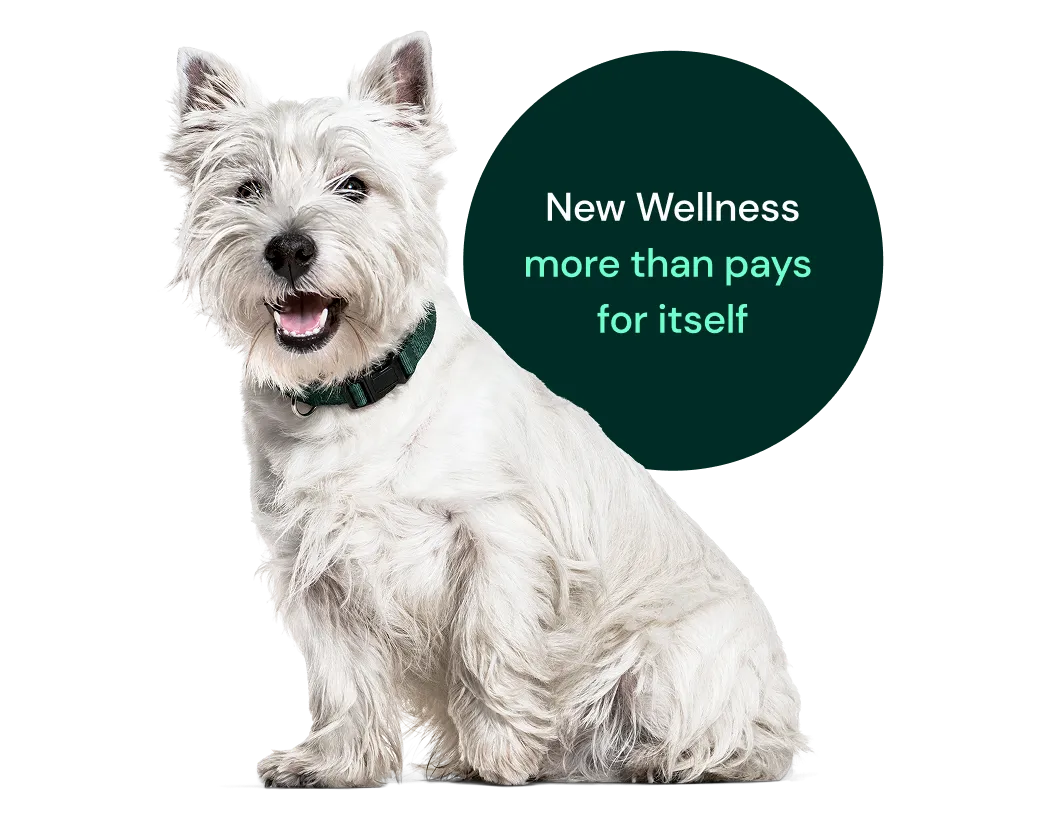 New Wellness more than pays for itself.