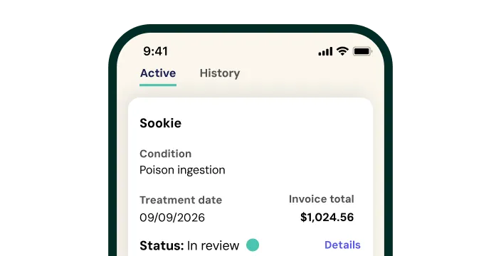 Fetch Pet Insurance app screen that shows you the status of active claims