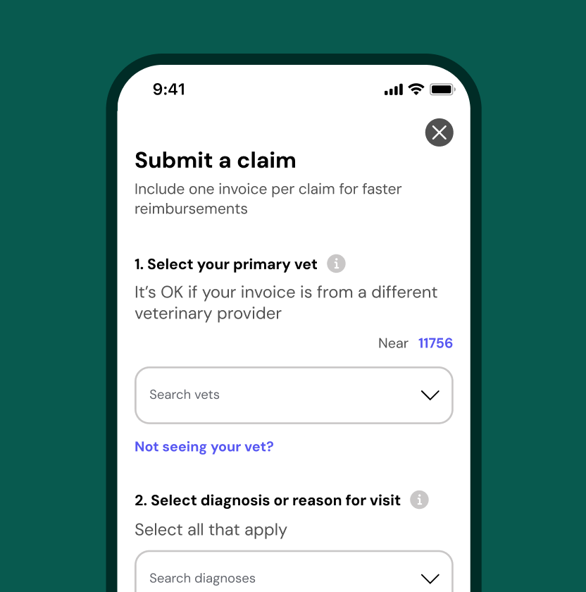 How pet insurance reimbursement works in 3 easy steps