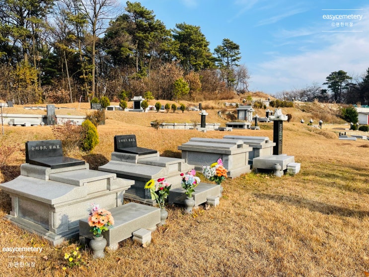 봉안묘 허가 조건 서류 (❌자주하는 실수) 가족묘 평장묘 매장묘 (비용,절차)