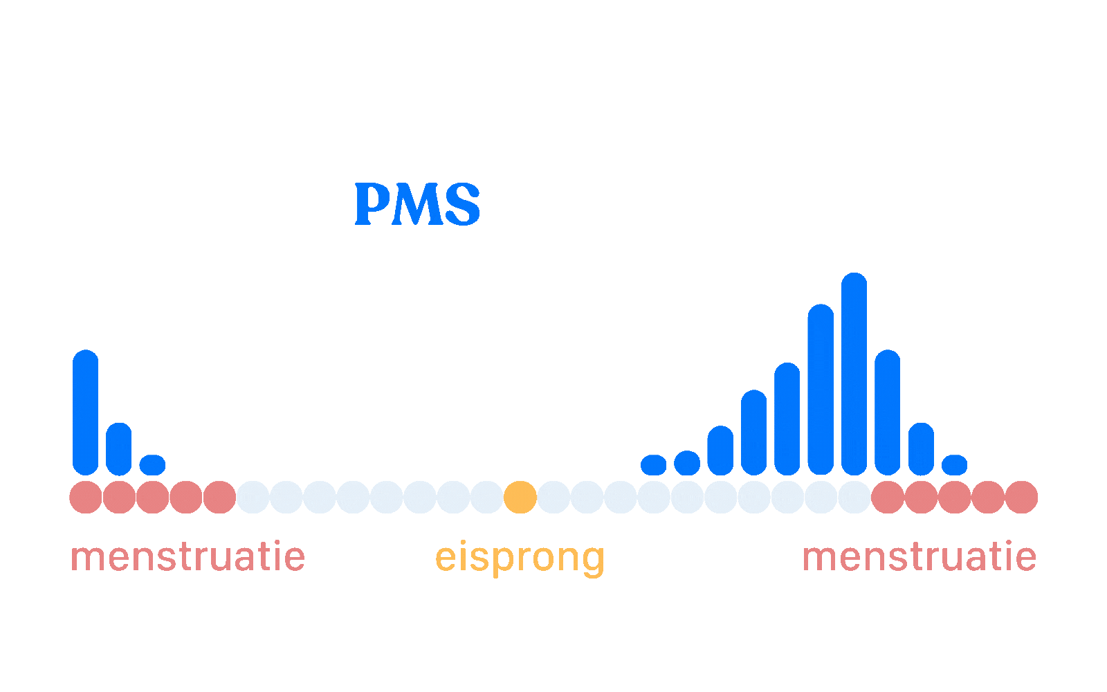 Difference PMDD and PMS visual
