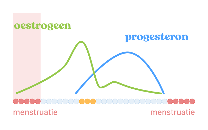 Menstruatiefase in de menstruatiecyclus illustratie hormoonschommelingen