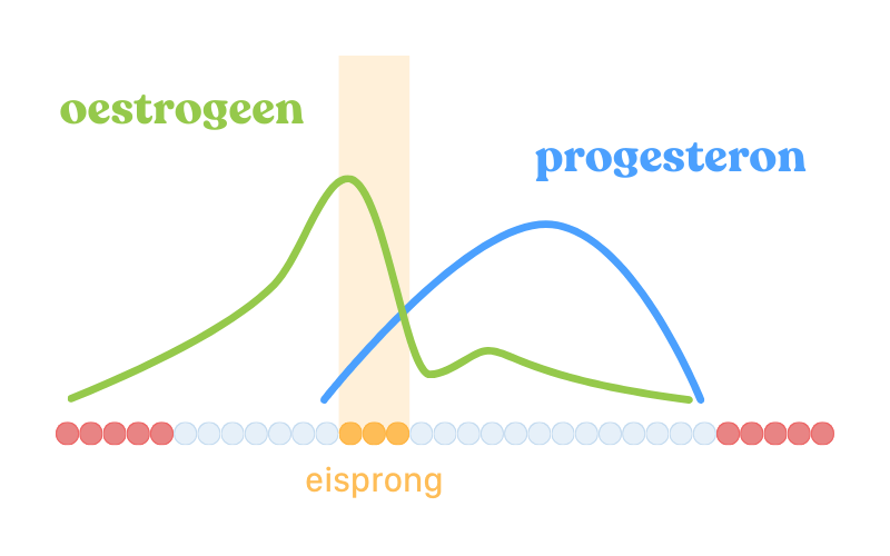 Eisprong in de menstruatiecyclus illustratie hormoonschommelingen