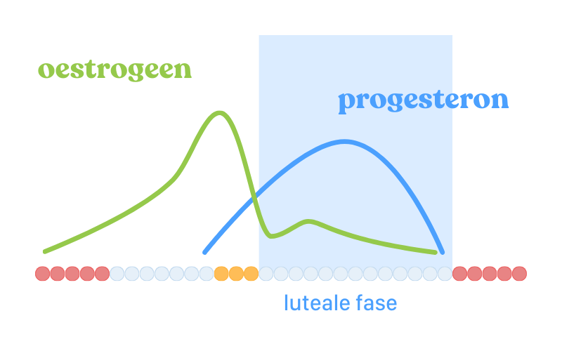 Luteale fase in de menstruatiecyclus illustratie hormoonschommelingen