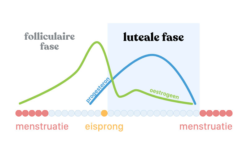 Grafiek van de menstruatiecyclus met drie fasen: folliculaire fase, eisprong en luteale fase. Oestrogeen (groene lijn) stijgt vóór de eisprong en daalt daarna. Progesteron (blauwe lijn) stijgt in de luteale fase en daalt vlak voor de menstruatie.