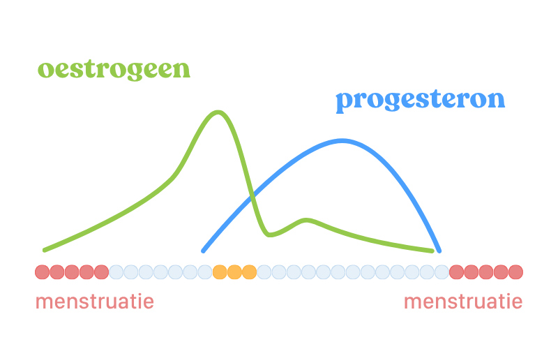 Menstruatiecyclus oestrogeen en progesteron illustratie