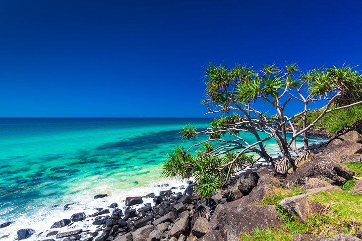 Attractions To Visit In Gold Coast