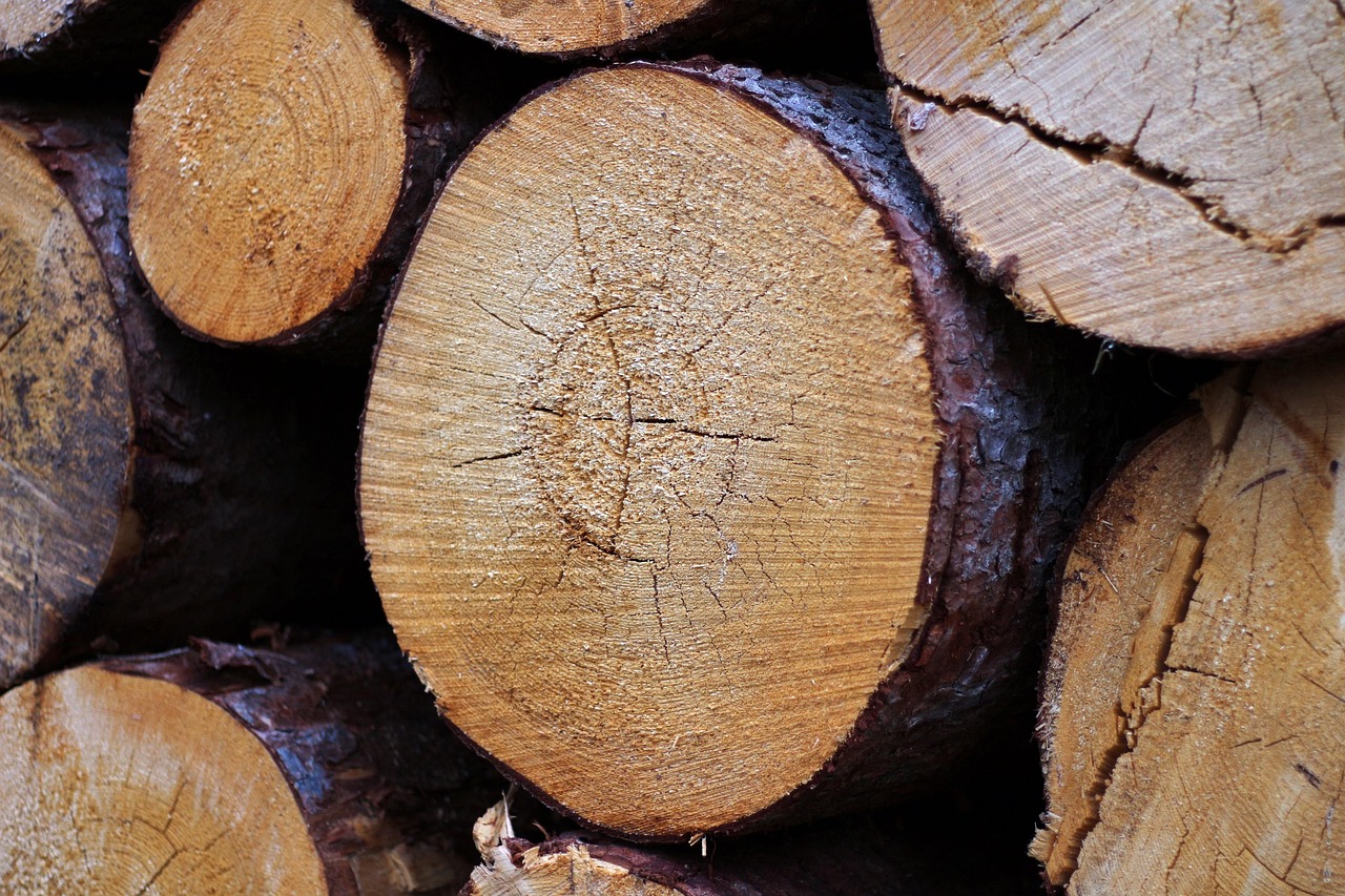 FSC and PEFC certifications supporting EUDR compliance