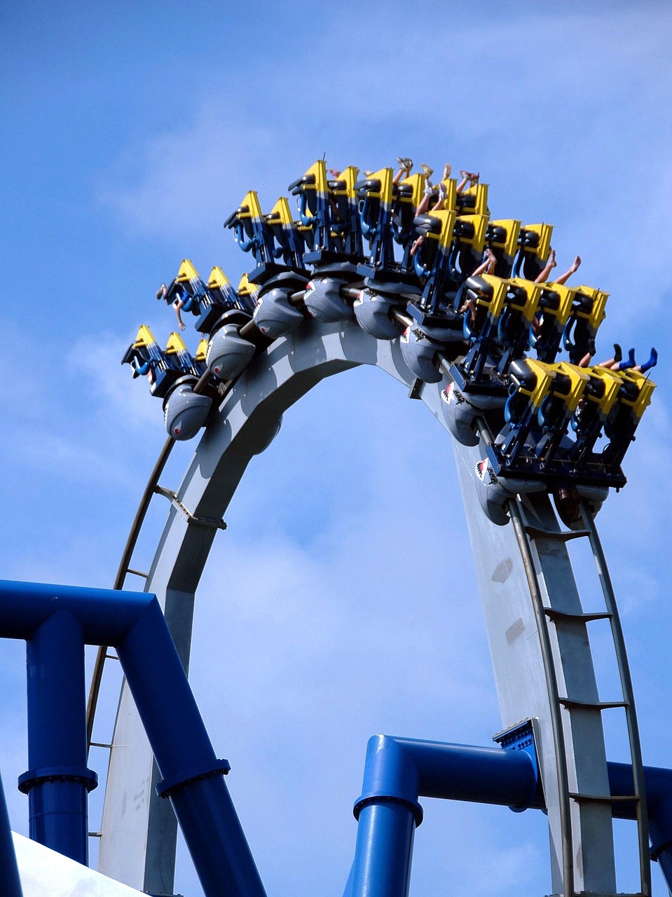 EUDR compliance timeline and regulatory milestones