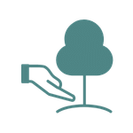 Hand gently holding or supporting a small tree growing from the ground.