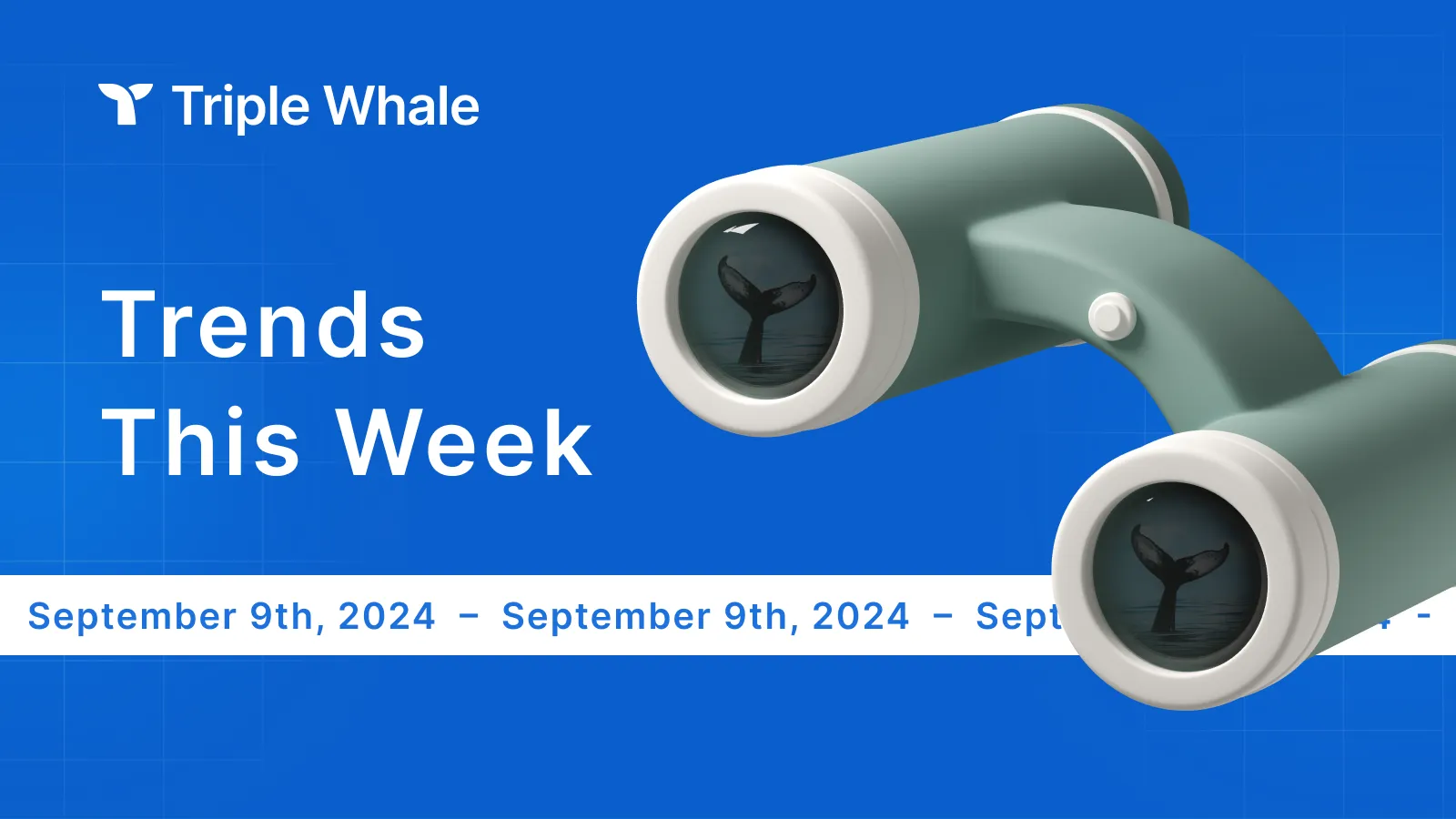 Trends by Triple Whale: Week of September 9th, 2024