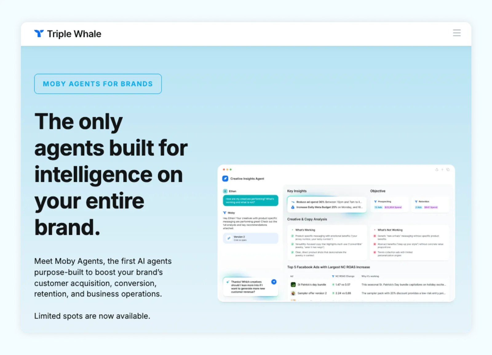 A screenshot of Moby Agents for Brand webpage on Triple Whale's website, saying "The only agents built for intelligence on your entire brand."