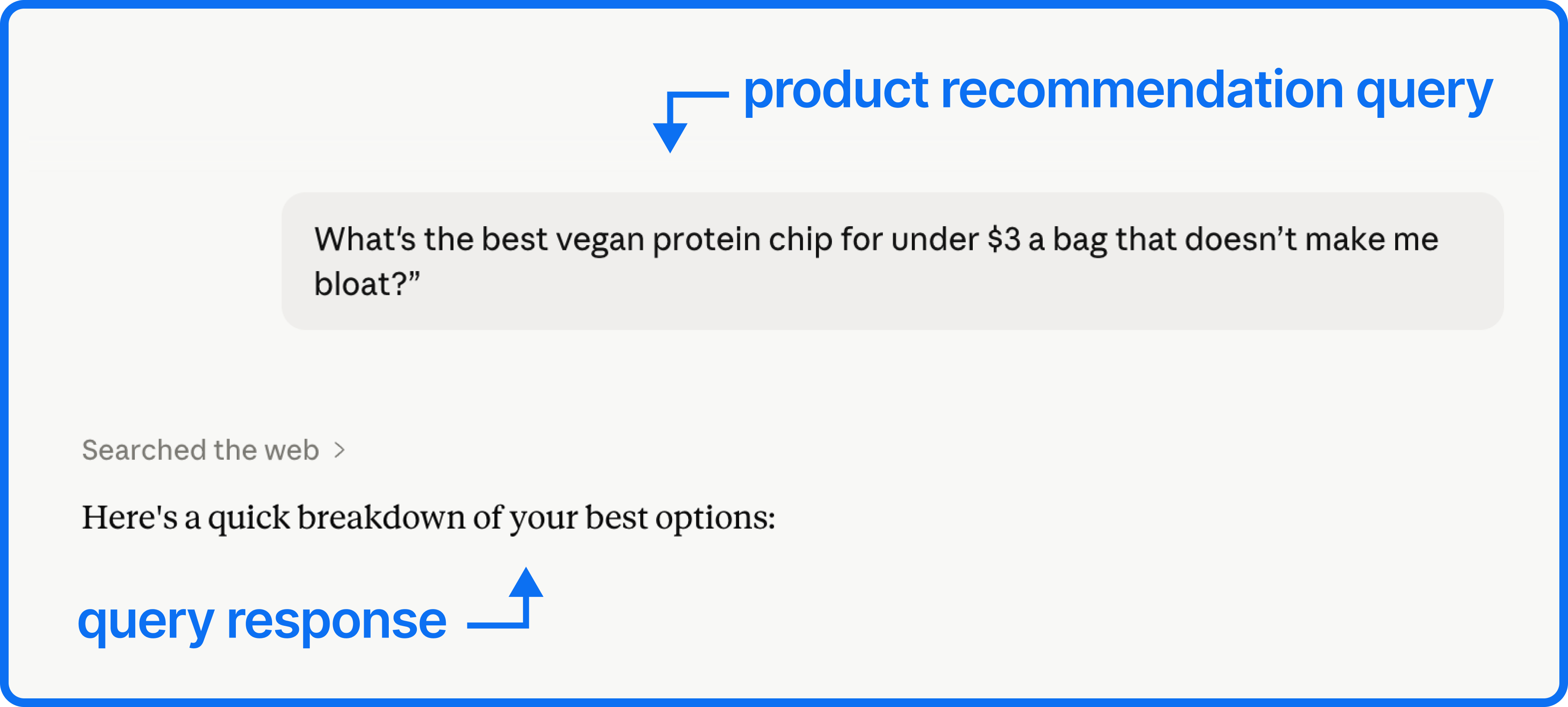 screenshot of a query inside an AI chatbot, example