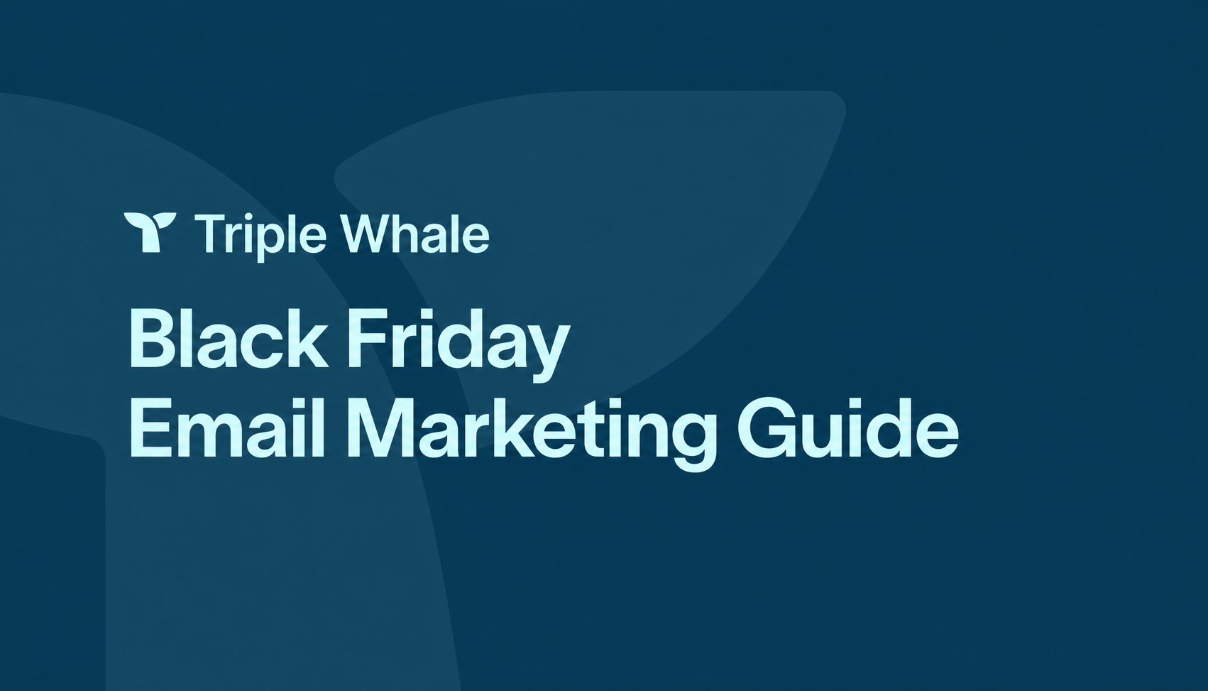 Image showing the name of the blog post: Black Friday Email Marketing Guide
