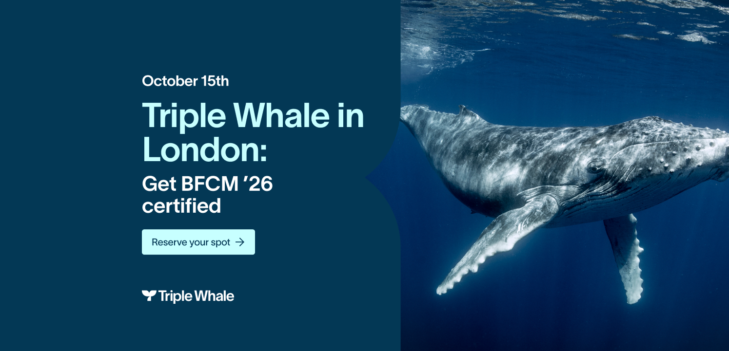 Triple Whale in London: BFCM Certification Course