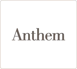 Anthem logo grey
