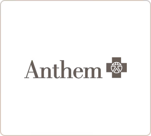 Anthem 2 logo grey