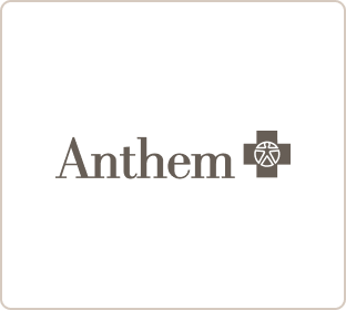 Anthem 2 logo grey