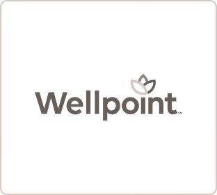 Wellpoint logo grey