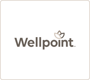 Wellpoint logo grey