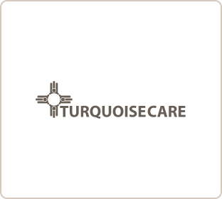Turquoise Healthcare logo grey