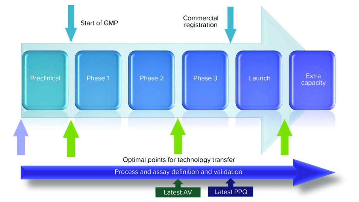 Optimize Tech Transfer in Pharma: 10 Tips - Apprentice