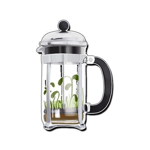 French Press