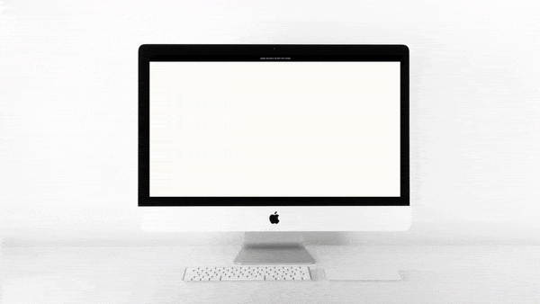 Website Marketing Promo