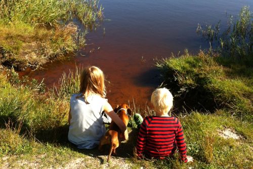 kids by the water star camping