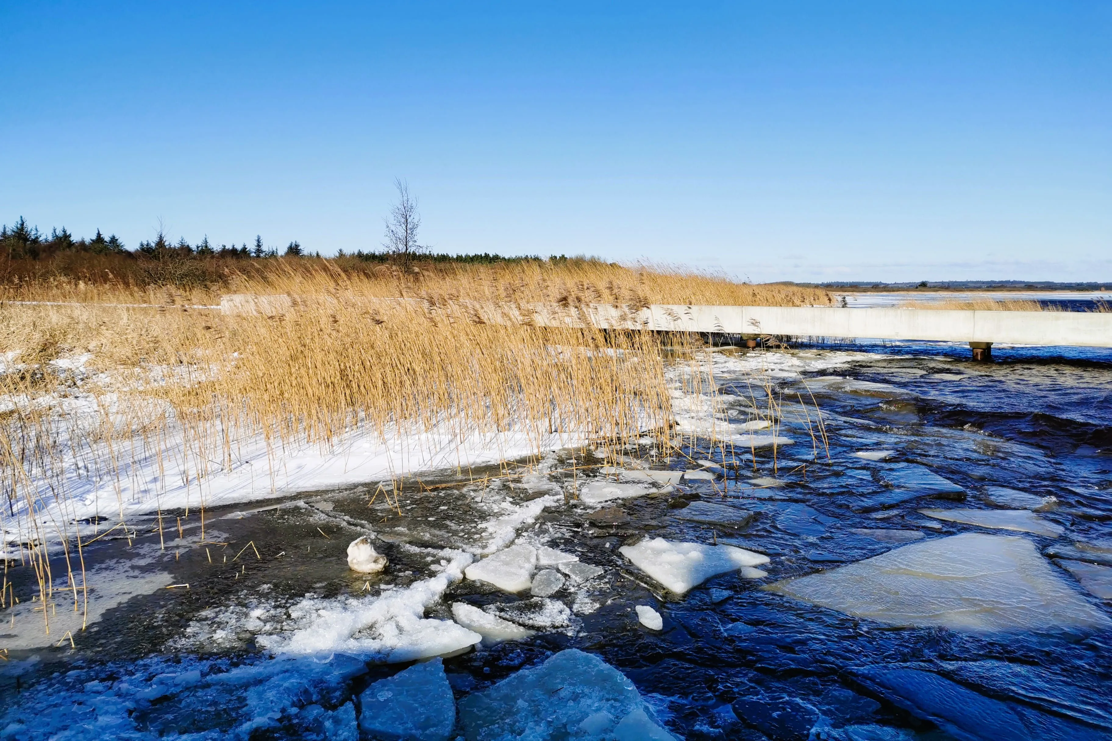 Gefrorener See mit Eisflocken am Ufer und trockenem Gras unter einem klaren blauen Himmel.