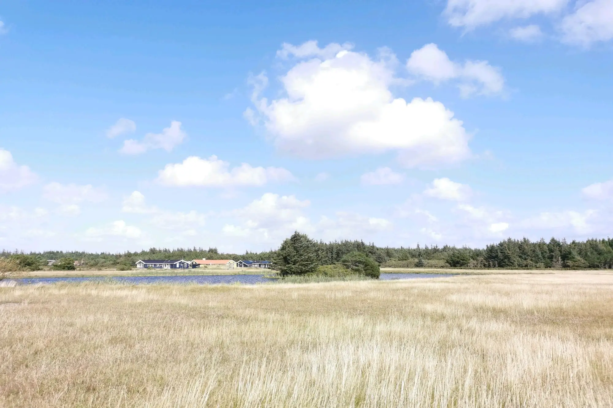 Feld mit trockenem Gras vor einem See mit Bäumen und Häusern im Hintergrund unter einem blauen Himmel mit Wolken.