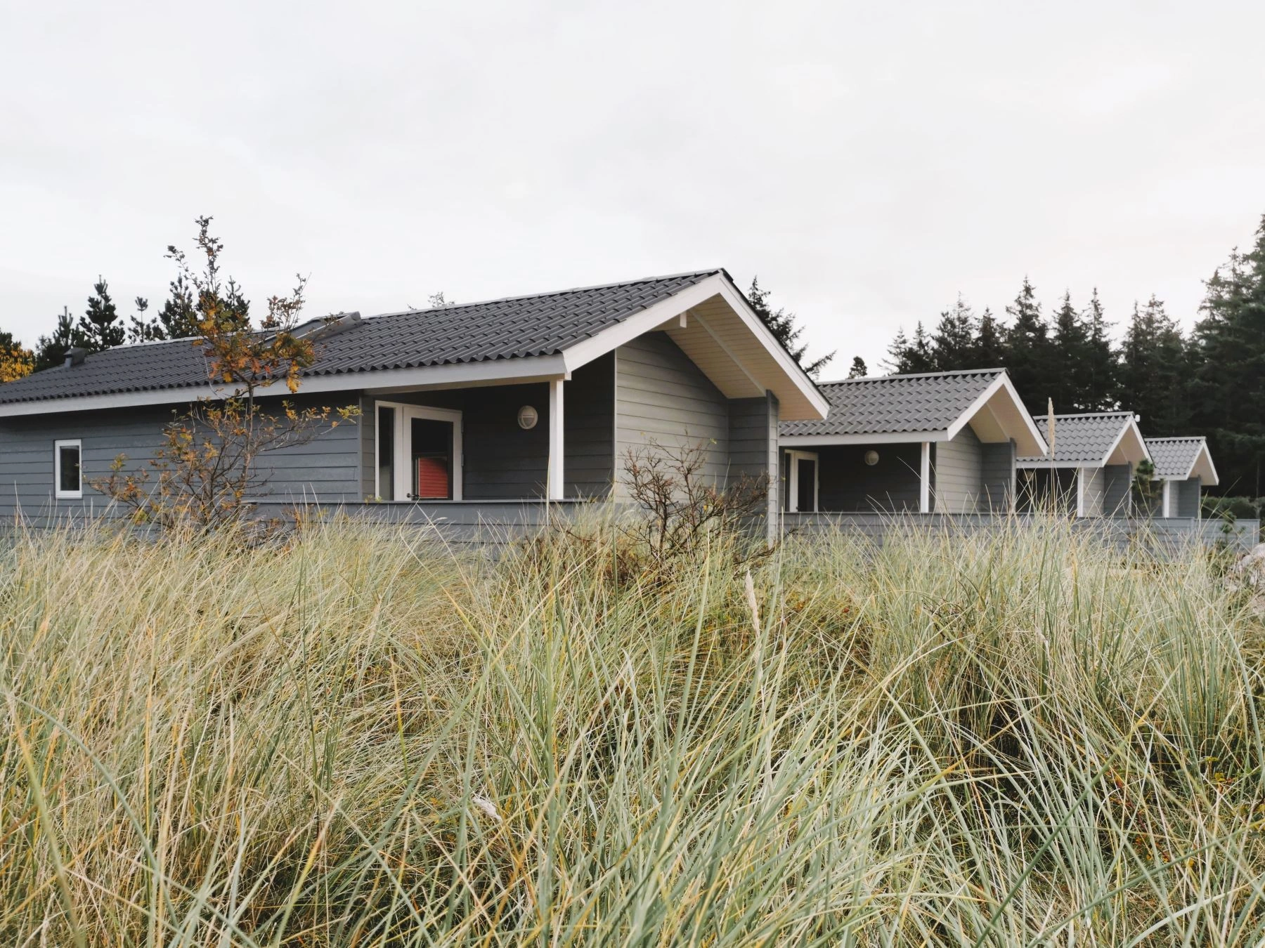 Række af grå sommerhuse med sort tag bag højt græs og træer i baggrunden.