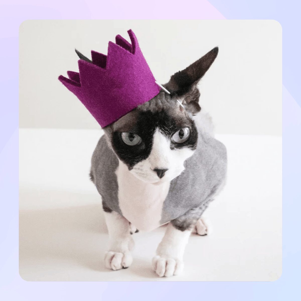 __wf_reserved_inherit