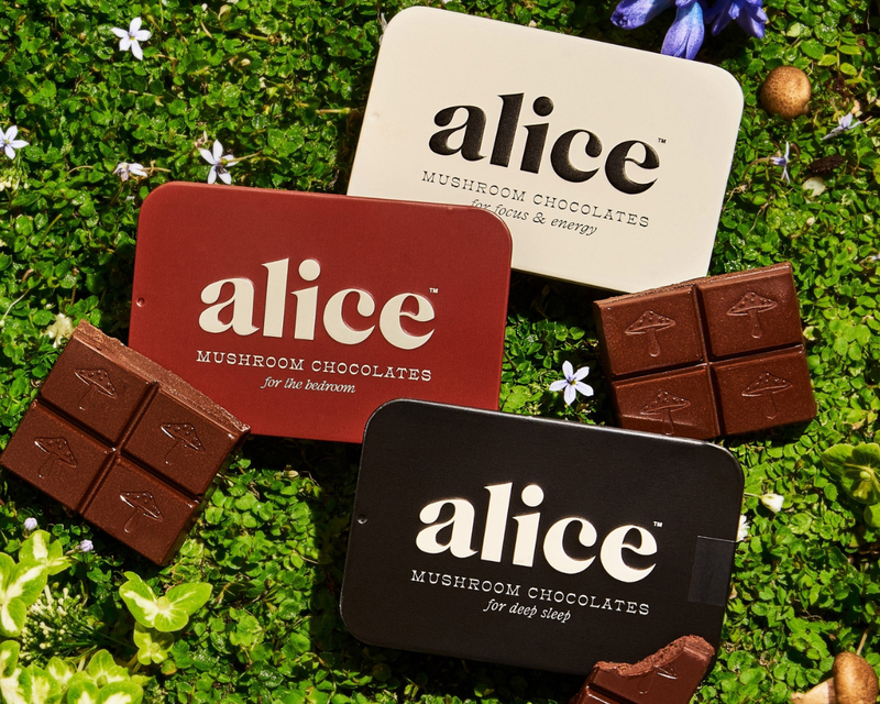 Alice Mushrooms Discovery Set