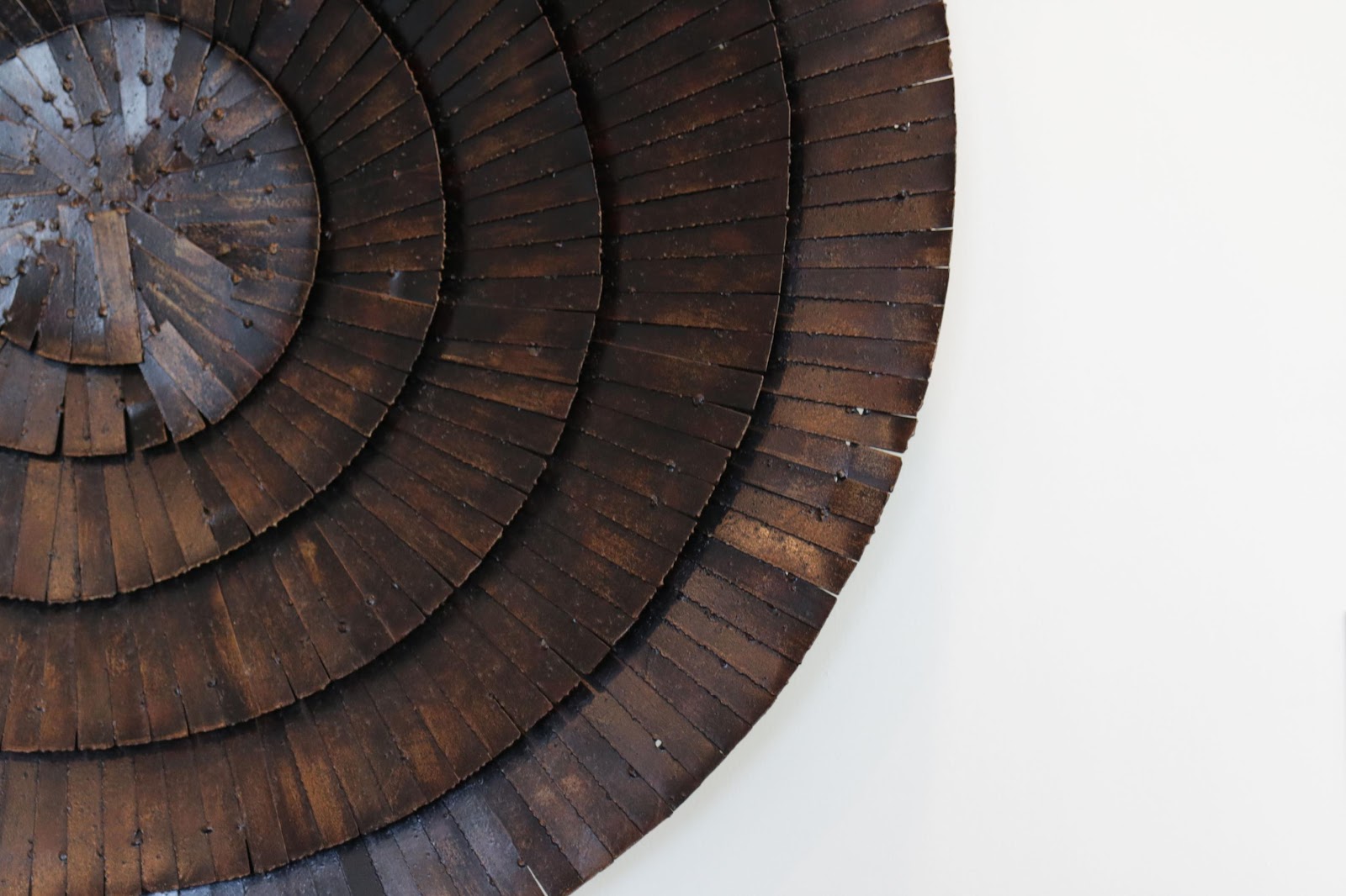 Close-up of concentric circular wooden discs with visible grain and nails on a white background.